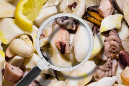 Photo for Cuttlefish and octopus salad HACCP (Hazard Analyses and Critical Control Points) - Food Safety and Quality Control in food industry - concept with magnifying glass - Royalty Free Image