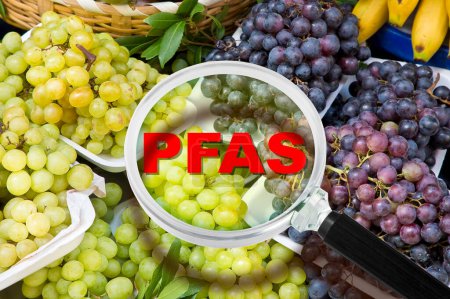 Téléchargez les photos : PFAS, SPFO, APFO PFNA e PFHxS substances synthétiques dangereuses - Alerte à la contamination des fruits et légumes - en image libre de droit