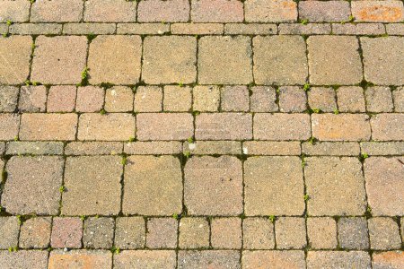 Photo for Self-locking concrete outdoor flooring in square and rectangular shapes - Used in construction industry and building activity to create permeable floors to rain water - Royalty Free Image
