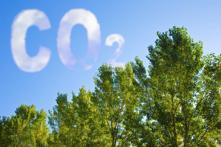 Planting more trees reduce the amount of CO2 - concept image with CO2 text against woodland.