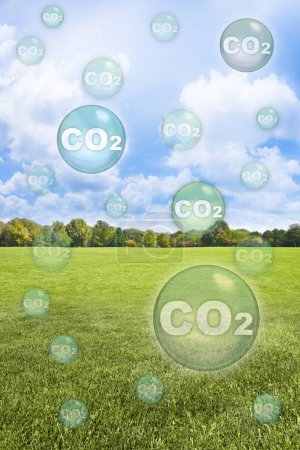 ¿Es la hierba un fregadero de carbono? ¿El césped reduce los niveles de CO2? Concepto con pradera verde y partículas de dióxido de carbono