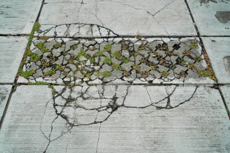 Foto de Viejos azulejos agrietados y el suelo roto resistido de cemento por la hierba y el poder de la naturaleza - fondo de textura áspera - tiro de cerca - Imagen libre de derechos