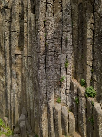Téléchargez les photos : Prismes basaltiques à Huasca de Ocampo. Concept d'écotourisme. Formations géologiques. - en image libre de droit