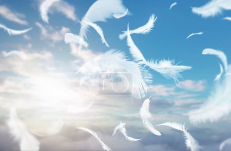 Abstract Group of White Bird Feathers Floating in The Sky with Clouds. Lightly of Feathers Floating in Dreaming Heavenly.