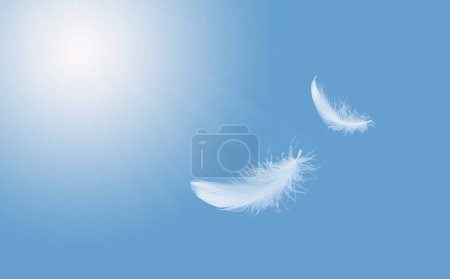 Abstract Softness of White Bird Feather Floating in Blue Sky. Feathers Flying in Heavenly