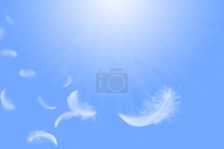Abstract Softness of White Bird Feather Floating in Blue Sky. Feathers Flying in Heavenly