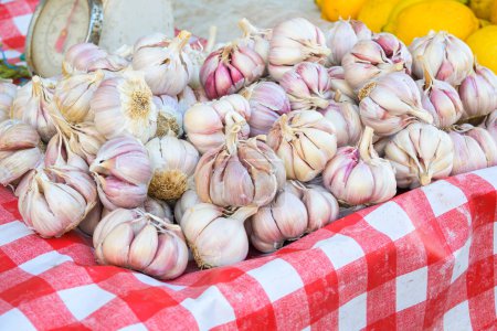 a pile of garlic shoots used in spanish and catalan cuisine.