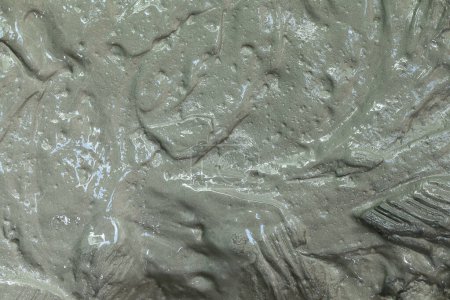 Es cemento mezclado húmedo para el patrón y el fondo.