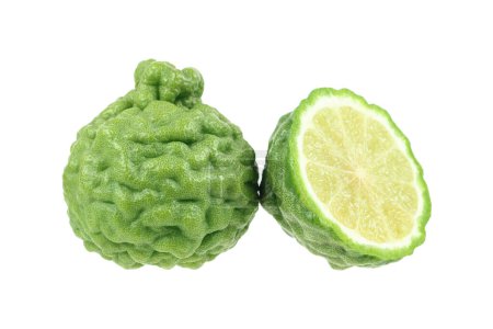 Téléchargez les photos : Il est vert kaffir citron vert isolé sur blanc. - en image libre de droit