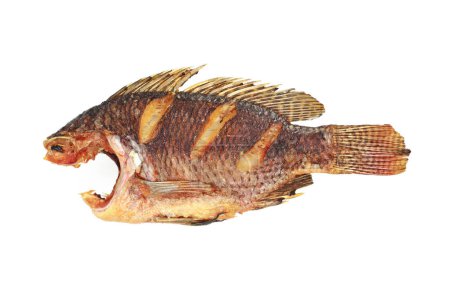 It is Fried tilapia fish without head isolated on white.