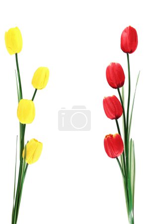 Es sind künstliche rote und gelbe Tulpensträuße, die auf Weiß isoliert sind.