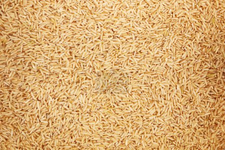 Téléchargez les photos : It is healthy unpolished brown rice for pattern and background. - en image libre de droit