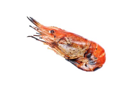 it is one grilled giant freshwater prawn isolated on white.