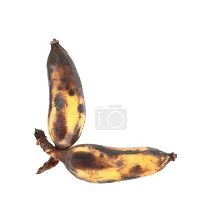 ce sont deux bananes cultivées pourries isolées sur du blanc.
