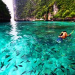 Krabi, Thailand - June 15, 2023: Asian man in orange life jacket with diving mask is snorkeling among many Indo Pacific sergeant fish on Andaman Sea, Krabi, Thailand. Sport and Activity concept 