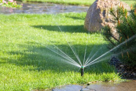 Téléchargez les photos : Système d'irrigation de jardin arrosage de pelouse - en image libre de droit