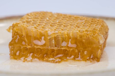 Photo for Close up of honeycomb with honey - Royalty Free Image