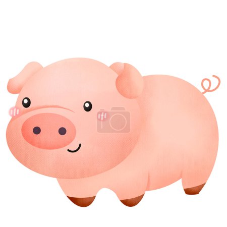 eine aquarellierte Illustration eines Schweins