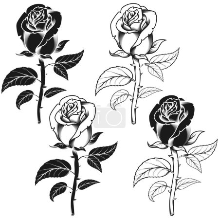 Vector design of flowers in three different styles, black and white, all on white background