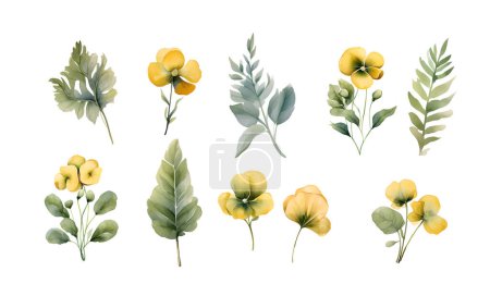 Illustration for Watercolor vector set with pansies. Hand drawn by watercolors. Summer bloom yellow plant decoration design elements. - Royalty Free Image