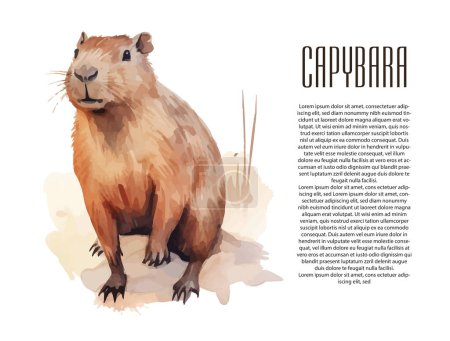 Joyeux capybara heureux avec de petits amis, canard et oranges. Thème jaune frais. Ensemble d'étiquette cadeau carré, carte, badge. Illustration vectorielle.