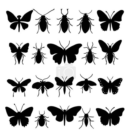 Ilustración de Gran conjunto de siluetas de insectos en diferentes postes. Casi cada tipo de insectos representados en el conjunto. Alto detalle. Ilustración vectorial. - Imagen libre de derechos