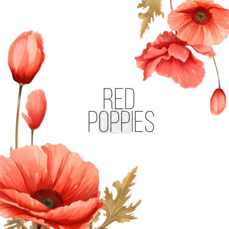 Illustration for Luxurious bright red vector Poppy flowers paintings on white background with blots and splashes for floral decoration. Template set for invitation cards, wedding, banners, sales, brochure cover design - Royalty Free Image