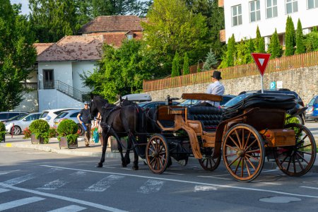 Photo for SOVATA, ROMANIA - AUGUST 24, 2022: Horse drawn carriage in Sovata resort. It is known for balneoclimateric and mud treatments. Sovata, Romania on August 24, 2022 - Royalty Free Image