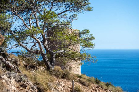 Téléchargez les photos : Paysage côtier méditerranéen. Torre Vigia De Cerro Gordo historique, une tour de guet qui veille sur tous les pirates maraudeurs. La Herradura, Andulasia, Sud de l'Espagne - en image libre de droit