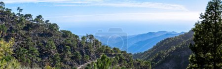 Foto de Sendero hacia el pico Lucero, Parque Natural de las Montañas de Tejeda, Almijara y Alhama - Imagen libre de derechos