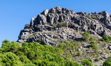 Foto de Sendero hacia el pico Lucero, Parque Natural de las Montañas de Tejeda, Almijara y Alhama - Imagen libre de derechos