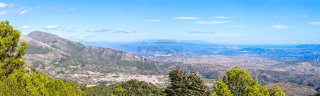 Blick auf den Pinienwald am Wanderweg zum Gipfel Torrecilla, Nationalpark Sierra de las Nieves, Andalusien, Spanien