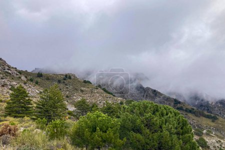 Nebel und Wolken auf dem Wanderweg zum Maroma-Gipfel am Gewittertag, Sierra Tejeda, Spanien 
