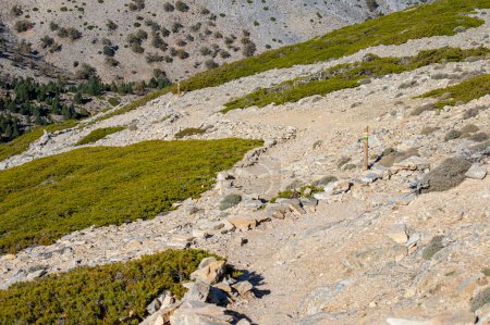 Hiking trail to peak Torrecilla, Sierra de las Nieves national park, Andalusia, Spain