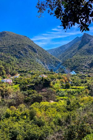 Photo for Hiking trail to Molinos river, Istan, Marbella, Spain - Royalty Free Image