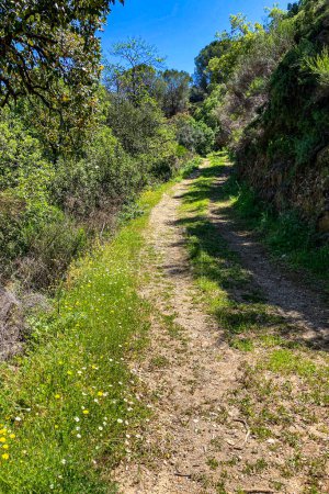 Photo for Hiking trail to waterfalls over river Caballos, Sierra de la Nieves National Park in Tolox, Malaga, Spain - Royalty Free Image