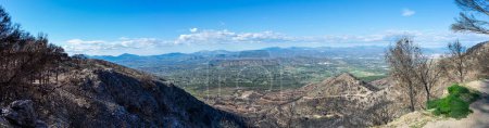 Photo for Burnt forest on trail to the peak Mijas, Malaga, Spain - Royalty Free Image