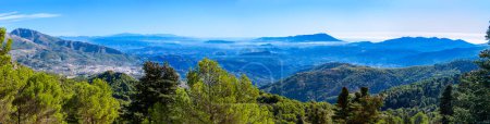 Vue panoramique sur la forêt de pins sur le sentier de randonnée au sommet Torrecilla, parc national de la Sierra de las Nieves, Andalousie, Espagne