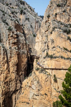 Photo for EL CHORRO, SPAIN - MARCH 19, 2024: Caminito del Rey, The King's Path. Walkway pinned along the steep walls of a narrow gorge in El Chorro, Malaga, Spain on March 19, 2024 - Royalty Free Image