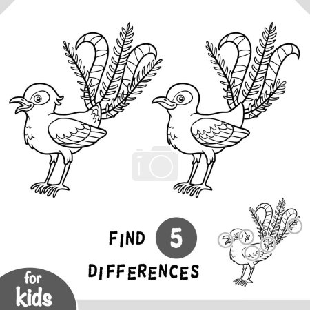 Téléchargez les illustrations : Mignon dessin animé Lyrebird bird bird, Trouver des différences jeu éducatif pour les enfants, page d'activité en noir et blanc - en licence libre de droit