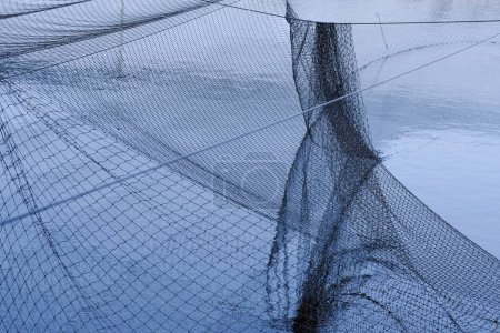Téléchargez les photos : Abstract views of protective nets against birds on fish ponds. - en image libre de droit