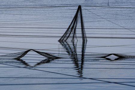 Téléchargez les photos : Abstract views of protective nets against birds on fish ponds. - en image libre de droit