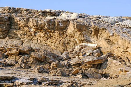 Téléchargez les photos : Côte de la mer Morte avec des pierres couvertes de sel. - en image libre de droit