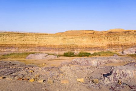 Téléchargez les photos : Parc national Ramon Crater Colors dans le désert du Néguev, Israël. - en image libre de droit