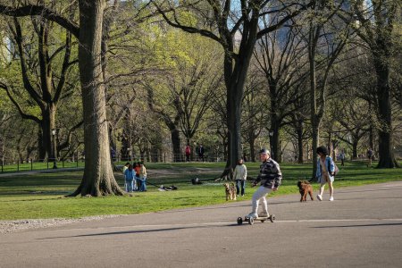 Téléchargez les photos : New York, États-Unis - 13 avril 2023 : Des gens marchent dans le Central Park de Manhattan. - en image libre de droit