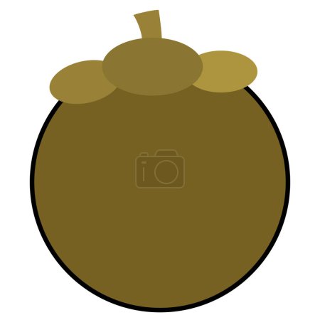 Icono de fruta de zapota coloreada Ilustración vectorial