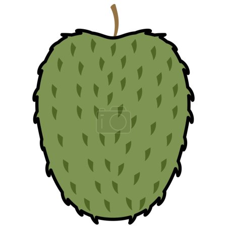 Colored soursop fruit icon Vector illustration