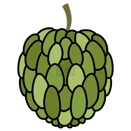 Farbiges Anon-Frucht-Symbol Vector Illustration