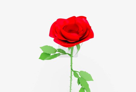 Photo for Beautiful rose 3d illustration minimal rendering on white background. - Royalty Free Image