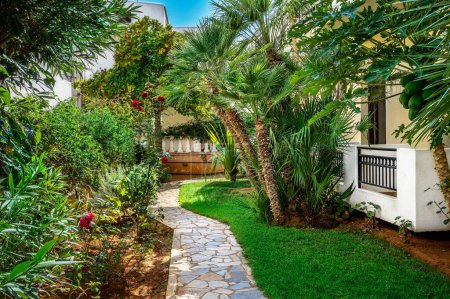 Photo for A tropical haven unfolds as a garden nestles next to the house, featuring lush Mediterranean plants. Ideal for travel brochures, gardening magazines and for projects seeking the perfect harmony. - Royalty Free Image